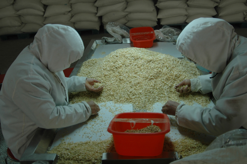 兰州海关关长张银喜等领导到千赢国际种业百佳食品公司调研