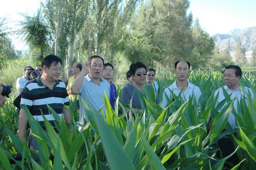 相互交流取长补短 共同学习稳步提高---千赢国际种业组织中高层管理人员赴种子企业交流观摩
