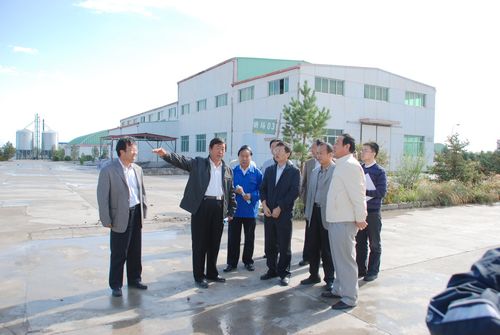 农业部种子管理局局长张彦秋同志视察千赢国际种业