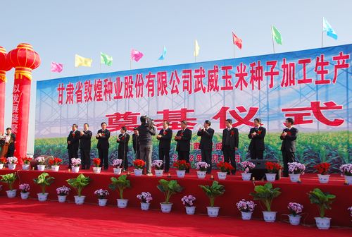 千赢国际种业武威玉米种子加工厂生产线项目正式开工建设