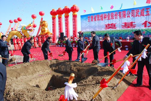 千赢国际种业武威玉米种子加工厂生产线项目正式开工建设