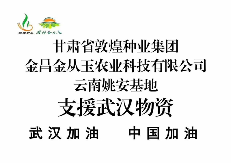 众志成城 抗击疫情 千赢国际种业金从玉在行动