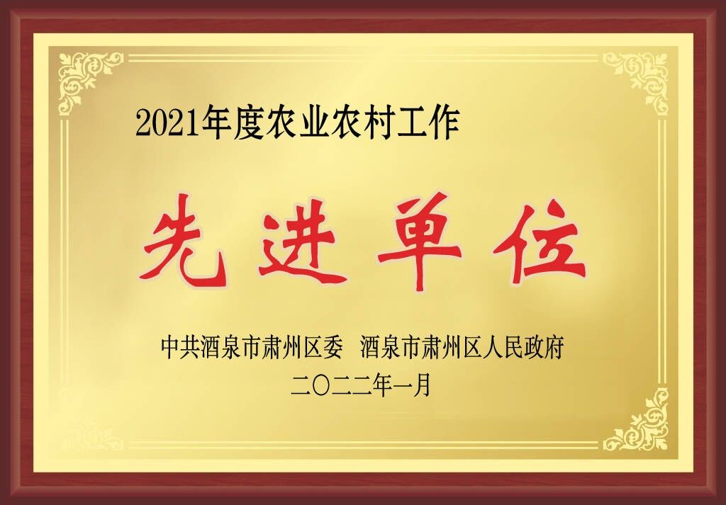 千赢国际种业在肃州区经济暨农业农村工作会上获三项奖