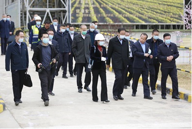 扛牢重任 抢抓机遇 加快创新 振兴种业 副省长张世珍一行莅临千赢国际种业集团调研