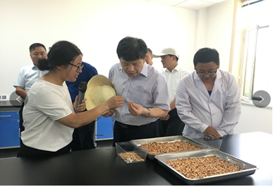 中国工程院“科技支撑甘肃绿洲农业和玉米种业可持续发展”院士专家团队考察调研千赢国际种业生物育种实验基地