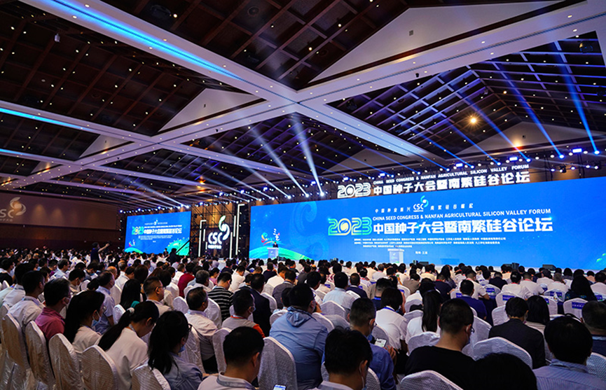 千赢国际种业当选中国种子协会玉米分会副会长单位 党委书记、董事长刘兴斌当选为副会长