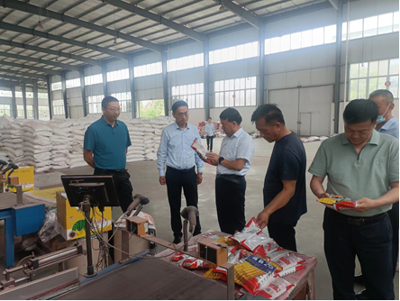 “三抓三促”进行时 | 强化落实解难题 激活企业促发展——公司董事长刘兴斌一行赴武汉千赢国际种业有限公司进行调研