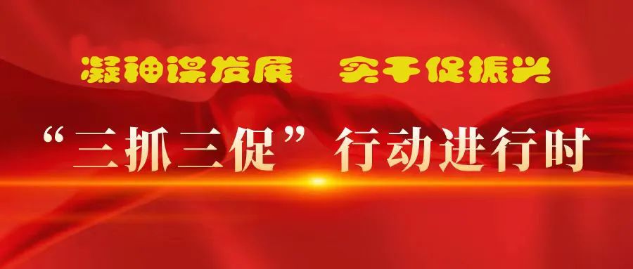 “三抓三促”进行时 | 多措并举强本领 精准落实谋发展 —— 张掖市千赢国际种业有限公司落实“三抓三促行动”纪实