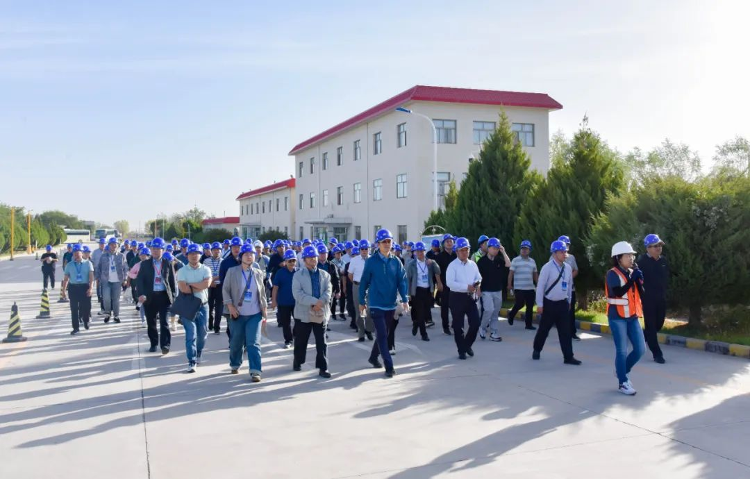 千赢国际种业召开2023年全国玉米遗传育种学术研讨会田间观摩会