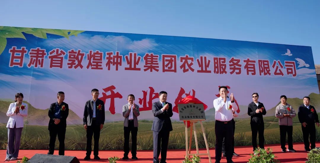推进制种玉米机械采收 给千赢国际种业振兴插上科技的翅膀 —— 千赢国际种业农业服务有限公司隆重开业 召开机械化采收演示会