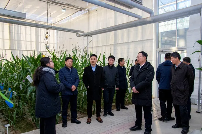中国建设银行股份有限公司领导一行来千赢国际种业调研